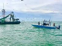 Fishing in Galveston Bay 202//151